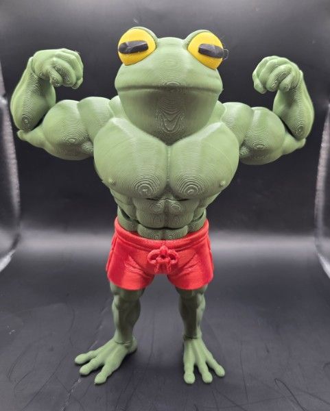 Flex, The Flexi, Flexing Frog — жаба-качок