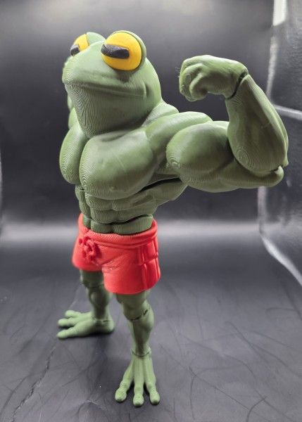 Flex, The Flexi, Flexing Frog — жаба-качок