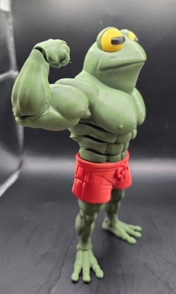 Flex, The Flexi, Flexing Frog — жаба-качок